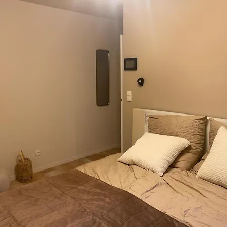 Chambre D'Hote - Reservee Aux Femmes - Cosy Centre Ville Avec Terrasse *