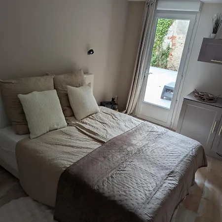 Chambre D'Hote - Reservee Aux Femmes - Cosy Centre Ville Avec Terrasse نانسي